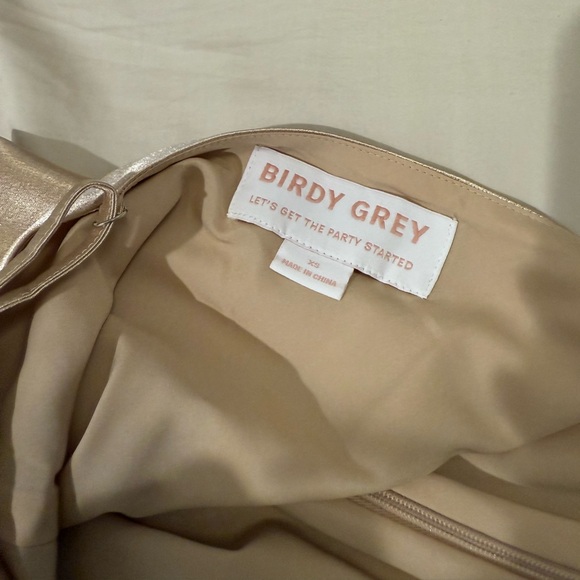 Birdy Grey Shiny Satin Midi Champagne Dress - Picture 5 of 5